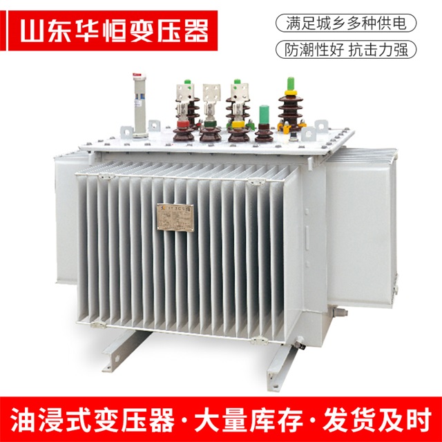 S13-10000/35长兴长兴长兴电力变压器