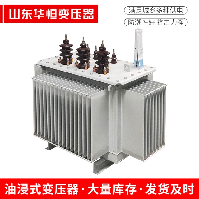 S11-10000/35长兴长兴长兴电力变压器价格